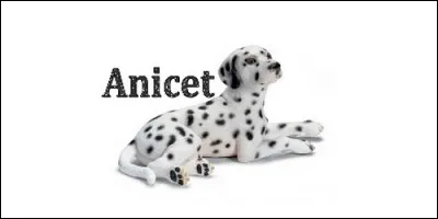 Quelle est l'origine du prénom Anicet ?