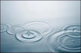 Dans la composition de la bire, quelle est la proportion minimum d'eau prsente ?