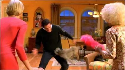 Pourquoi le chien de Magda tait-il surexcit lorsque Ted tait dans l'appartement de Mary ?