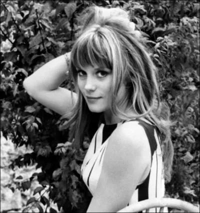 Une demoiselle de Rochefort trop vite oublie... .