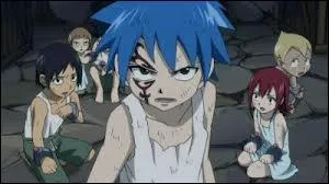 Qui tait amoureux de Erza ?