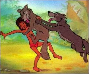 Dans  Le livre de la jungle , quel est le nom du vieux loup, chef du clan du Peuple Libre ?