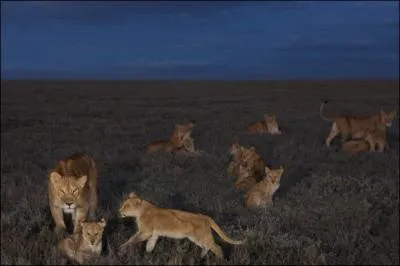 Il refuse les dogmes tablis et s'autorise des privauts que la morale du plus grand nombre rprouve !