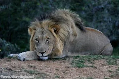 Il peut tre abusif, le ...