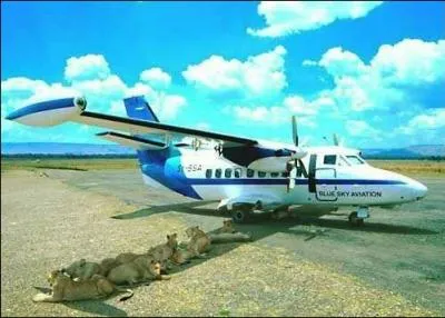 Autrefois, c'est ainsi que l'on nommait la chienne de chasse !