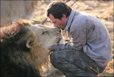 Certains chnes en sont recouverts sur leur tronc !