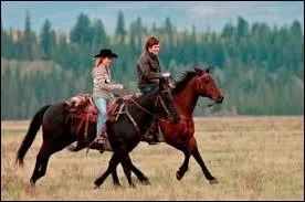 Qui sont ces deux chevaux ?