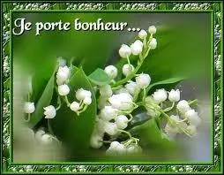 Trouvez l'intrus : qu'est-ce qui ne porte pas bonheur ?