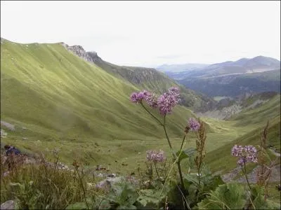 Qui est l'auteur de ce livre : Qu'elle tait verte ma valle dont on a fait un film ?