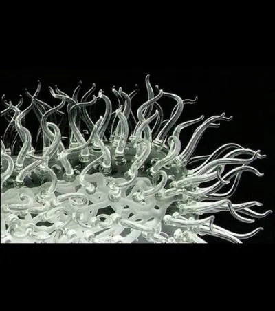 Que voyez-vous sur cette photo ?