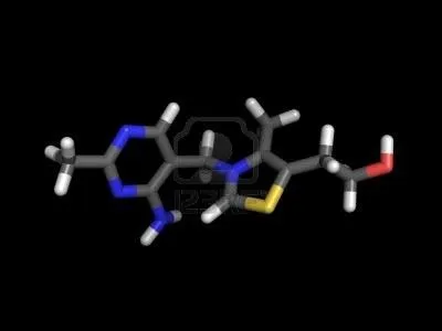 A quelle molcule correspond la vitamine B1 ?