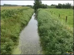 Quelle est l'tendue d'eau qui sert souvent  l'alimentation en eau des marais salants ?