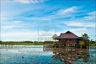 Quel est le nom de l'tendue d'eau gnralement peu profonde spare de la mer par un cordon littoral ?
