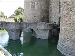 Quelle est l'tendue d'eau dormante qui entourait certains chteaux,  des fins de protection, et qui est toujours au pluriel ?