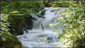 Quel est le nom de l'tendue d'eau douce, montagneuse, au dbit rapide ?