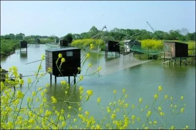 Quel est le nom de l'tendue d'eau, souvent une partie d'une rivire qui s'carte et la rejoint plus loin, synonyme d'un membre ?