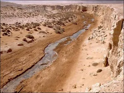 Quelle est l'tendue d'eau qui apparat dans le sable des dserts ?
