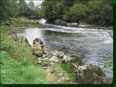 Comment s'appelle le nom gnrique donn aux cours d'eau (grands ou petits), situs au Barn, en Bigorre, sur le territoire des Pyrnes-Atlantiques, des Hautes-Pyrnes et en Chalosse ?