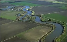 Quelle est l'tendue d'eau terminant un fleuve en plusieurs bras, et globalement en forme de triangle ?