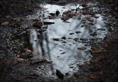 Quel est le nom de la minuscule tendue d'eau aprs la pluie ?