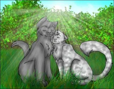 Quel est le chat/ la chatte  droite ?