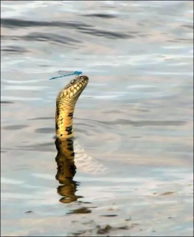 Toutes ces ides d'un autre temps l'ont rendu lui aussi ...