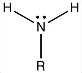Comment se nomme le groupement de cette molcule ?
