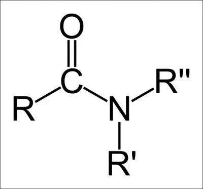 Comment peut-on synthtiser un amide ?