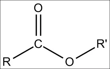 Comment se nomme le groupement de cette molcule ?