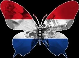 Quel organe est touch quand on souffre du syndrome de Boerhaave (mdecin nerlandais du XVIIme sicle) ?