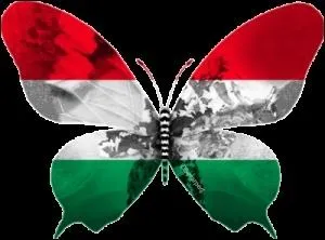 Quel homme politique hongrois est  l'origine de l'insurrection de Budapest de 1956 ?