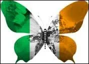 Lequel de ces ouvrages n'est pas crit par un irlandais ?