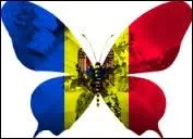 Qui a repris un extrait du tube  Dragostae din tei  du groupe moldave O-Zone dans sa chanson  Live your Life 