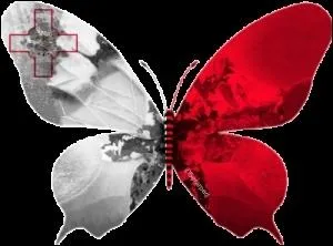 Quelle est la monnaie de Malte ?