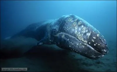 Elle fait partie des hrones de ce documentaire !