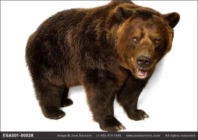 Il apparat dans l'un de ces trois films !