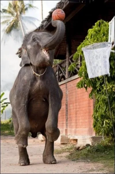 Film d'animation dont il est le personnage principal !