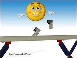 Quel sport fait ce smiley ?