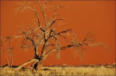 Depuis quand la Namibie est-elle un tat indpendant ?
