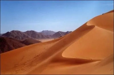 Quel est le nom complet de ce dsert du sud-est de l'Algrie ?
