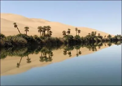 Comment appelle-t-on une zone de vgtation isole dans le dsert ?