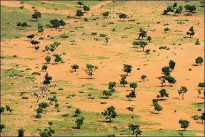 Le Sahel s'tend d'est en ouest de l'Afrique, et au sud du Sahara. De quel type son climat est-il ?