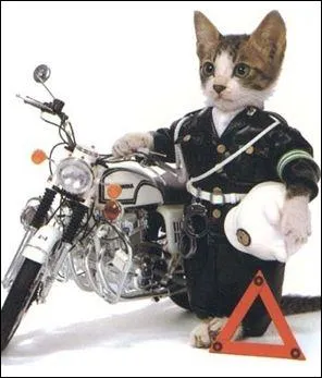 Pourquoi s'est-il arrt ? Bref,  out of order  veut dire :