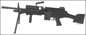 Quel est le nom de cette arme ?