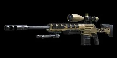 Quel est le nom de cette arme ?