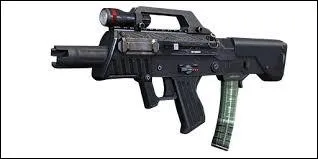 Quel est le nom de cette arme ?