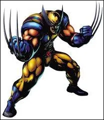 Qui est ce super-hros ?