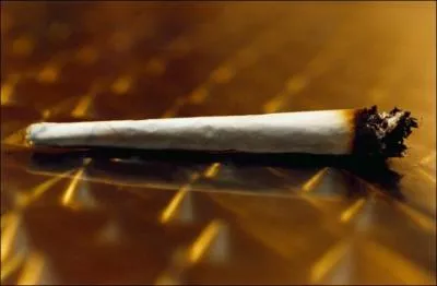 ''Pochtron, pochtron ! / Fume un joint t'auras l'air moins con / Pochtron, pochtron ! / C'est c' que m' dit ma mère qu'a toujours raison''