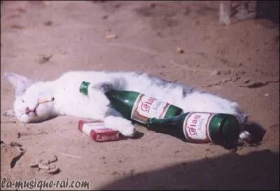 ''Je bois / Systématiquement / Pour oublier les amis de ma femme / Je bois / Systématiquement / Pour oublier tous mes emmerdements''
De quel chanteur poète sont ces paroles ?