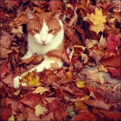 Il peut tre extrmement vexatoire !